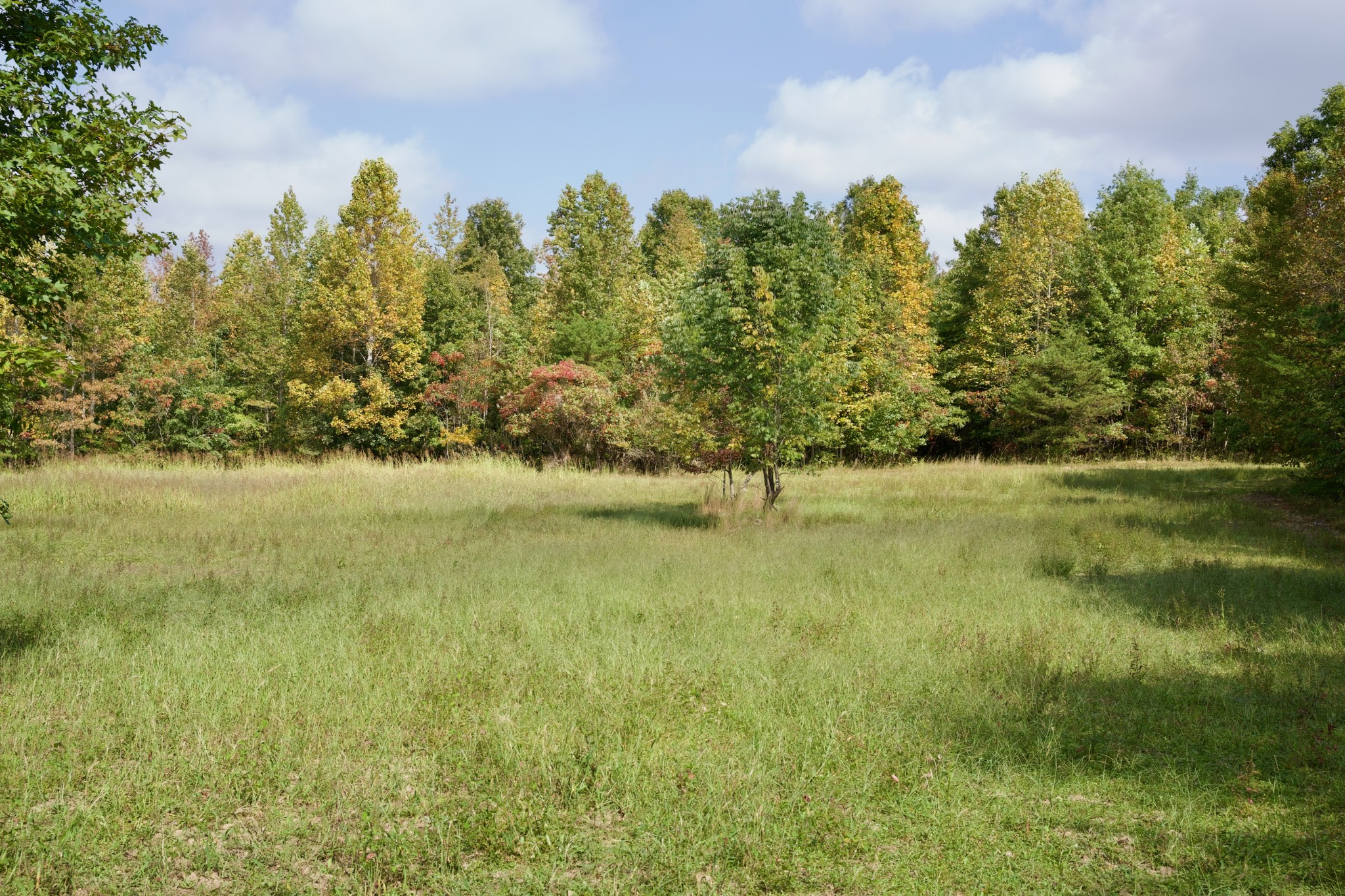 1 Palmer Firetower Road Palmer, TN 37365 - Photo 21 of 70 Gallery Image 21