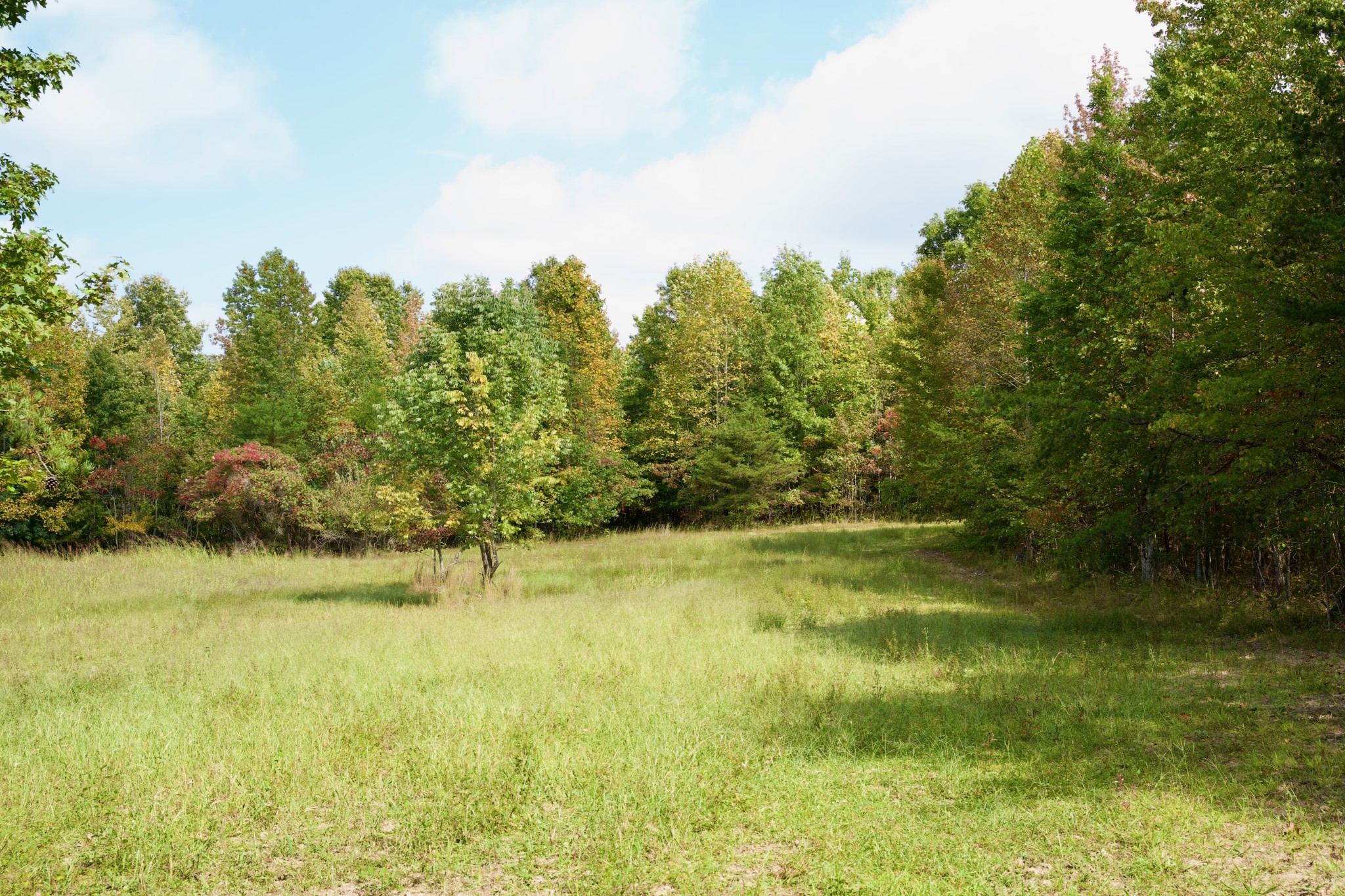 1 Palmer Firetower Road Palmer, TN 37365 - Photo 22 of 70 Gallery Image 22