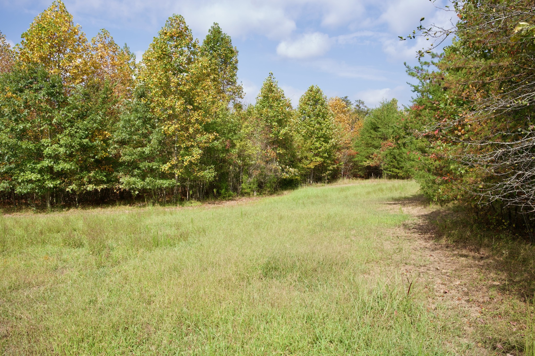 1 Palmer Firetower Road Palmer, TN 37365 - Photo 23 of 70 Gallery Image 23