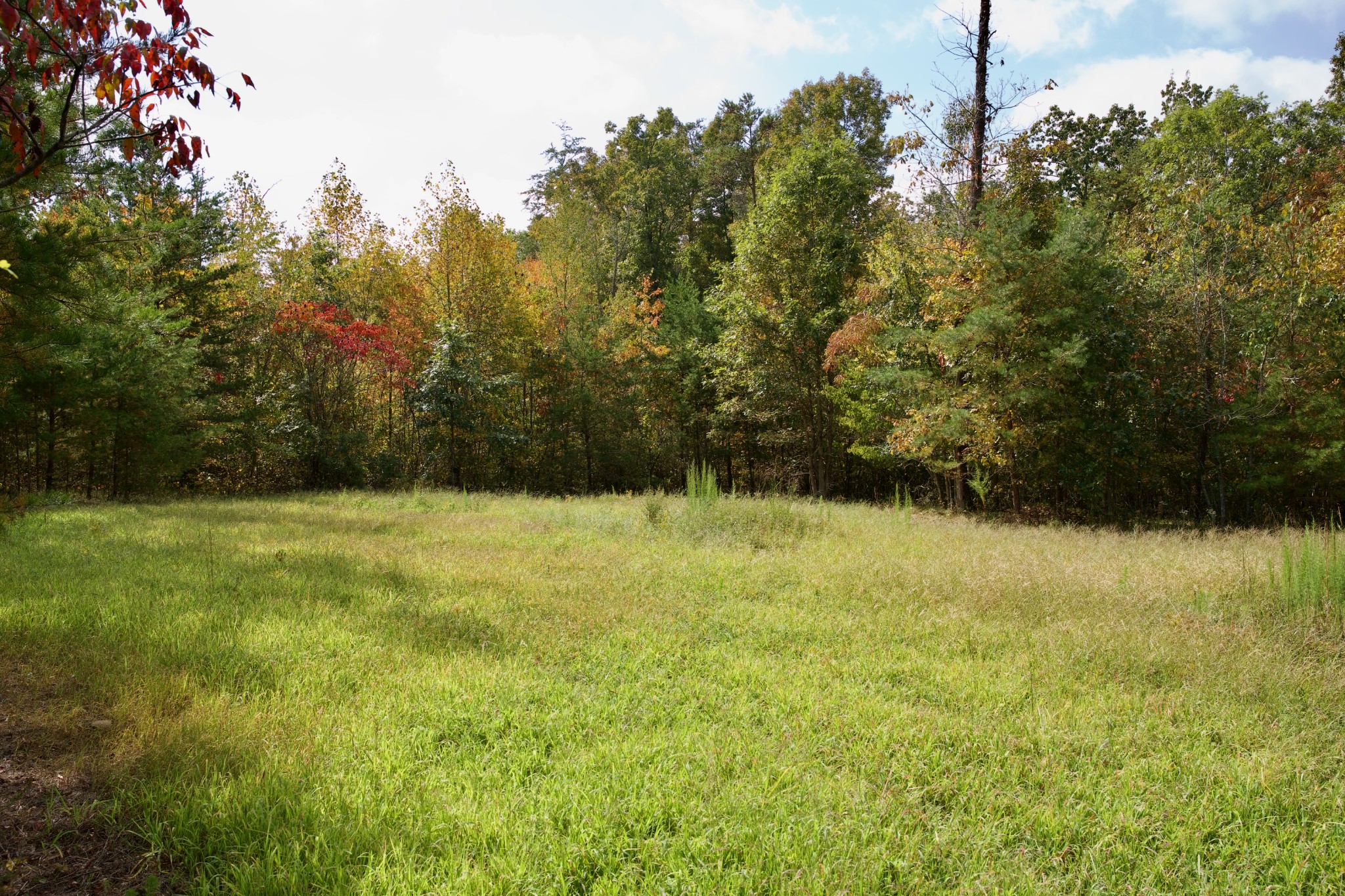 1 Palmer Firetower Road Palmer, TN 37365 - Photo 24 of 70 Gallery Image 24
