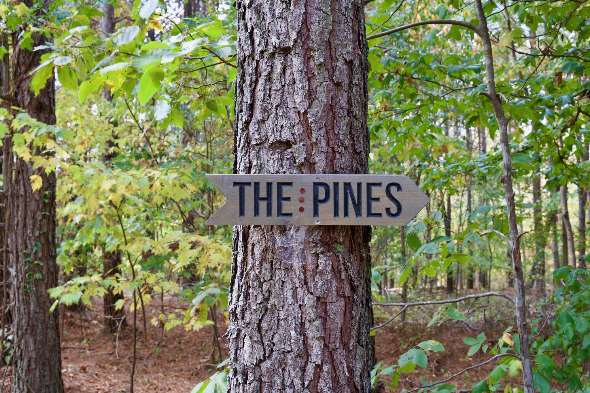 1 Palmer Firetower Road Palmer, TN 37365 - Photo 25 of 70 Gallery Image 25