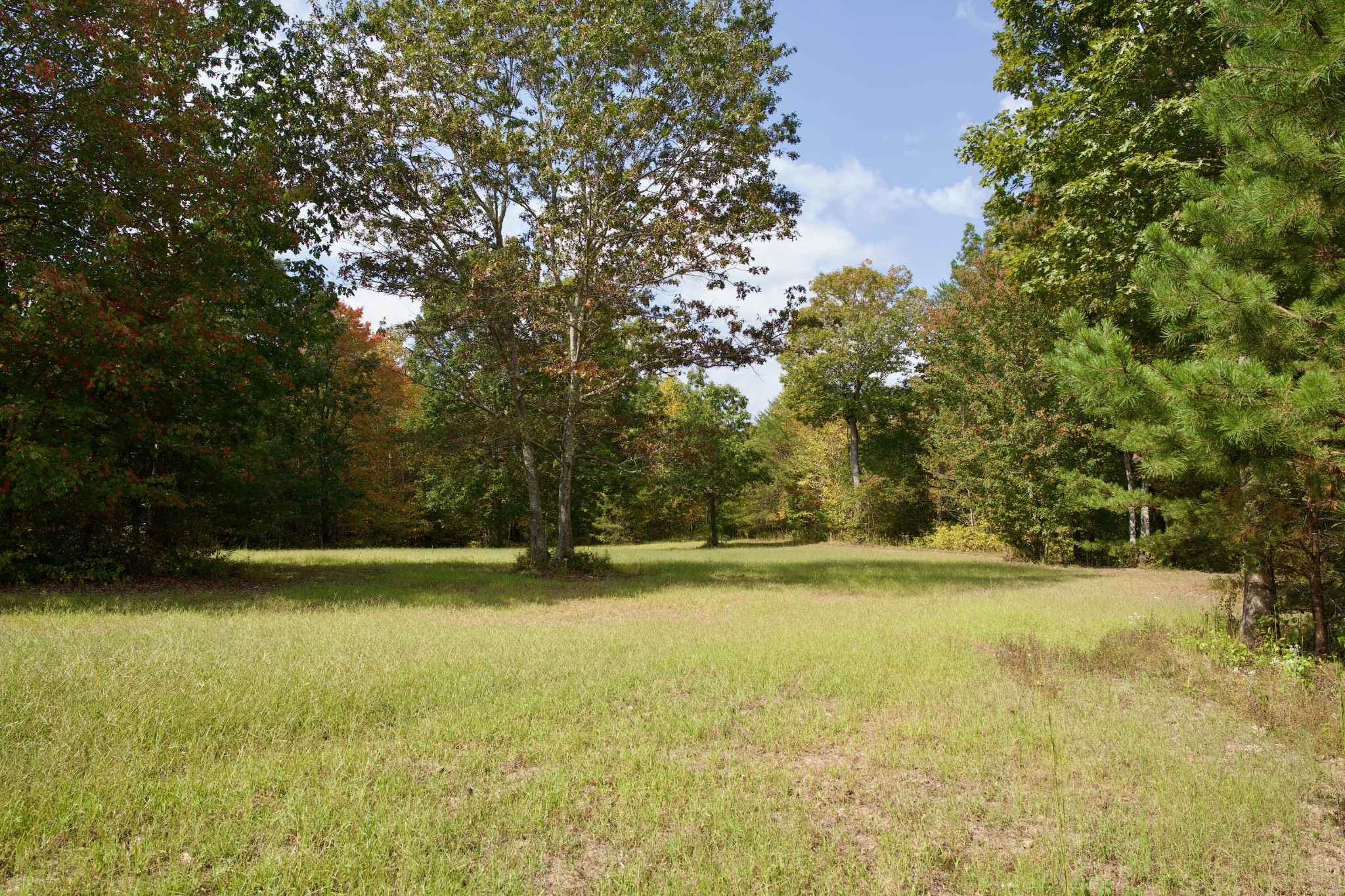1 Palmer Firetower Road Palmer, TN 37365 - Photo 26 of 70 Gallery Image 26