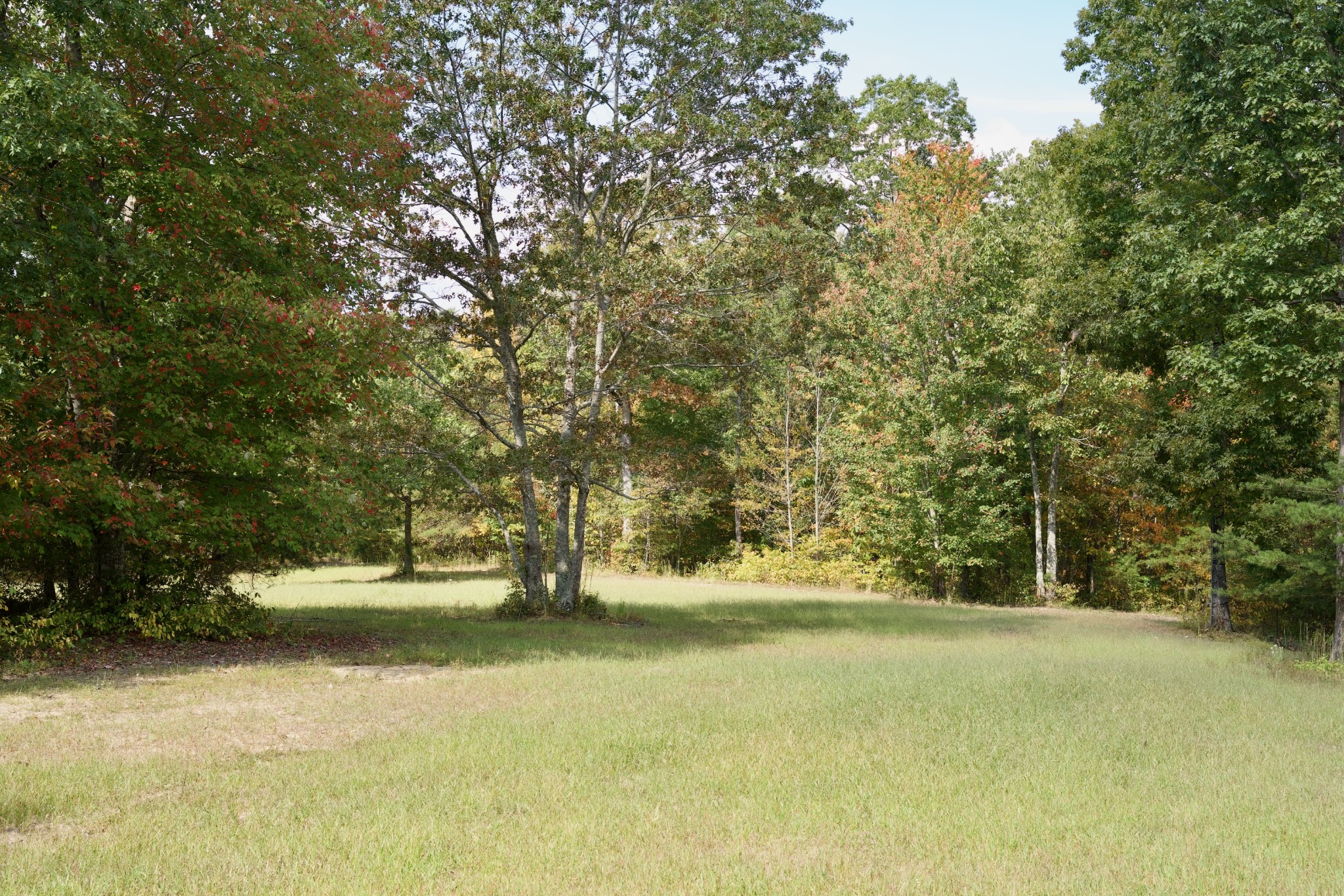 1 Palmer Firetower Road Palmer, TN 37365 - Photo 27 of 70 Gallery Image 27