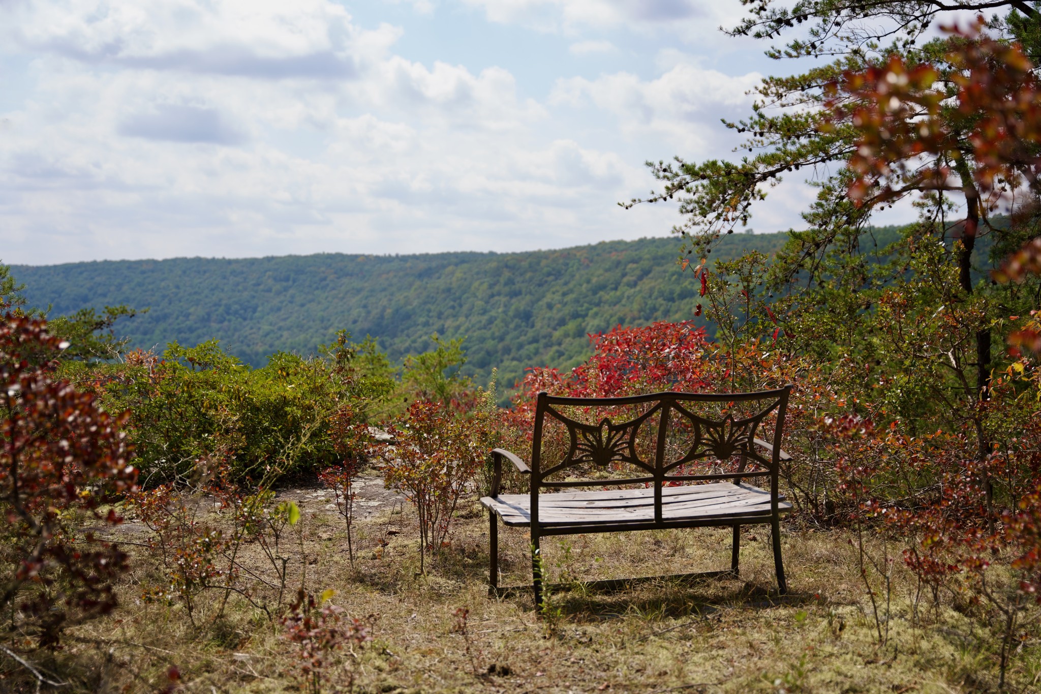 1 Palmer Firetower Road Palmer, TN 37365 - Photo 32 of 70 Gallery Image 32