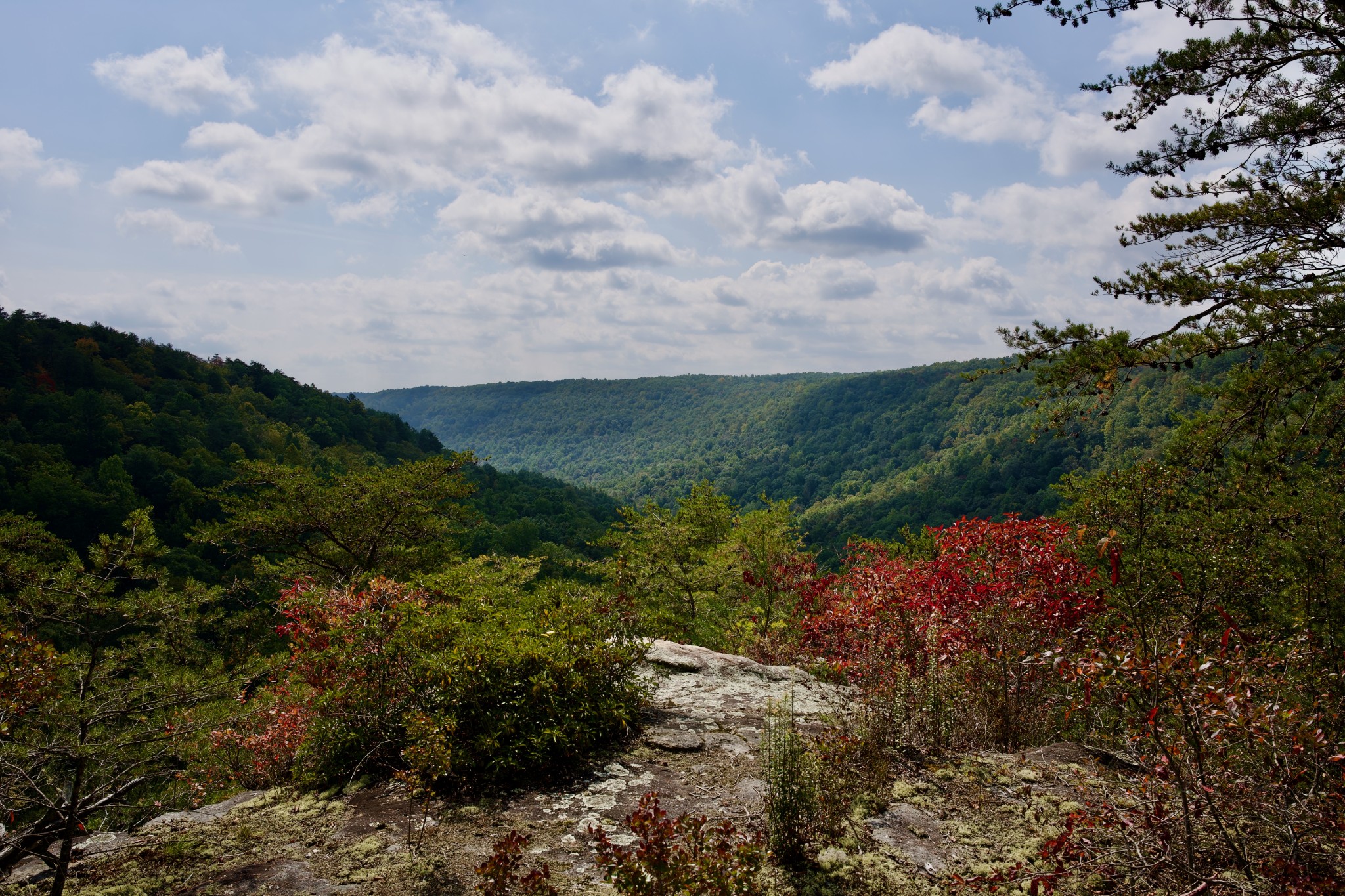 1 Palmer Firetower Road Palmer, TN 37365 - Photo 33 of 70 Gallery Image 33