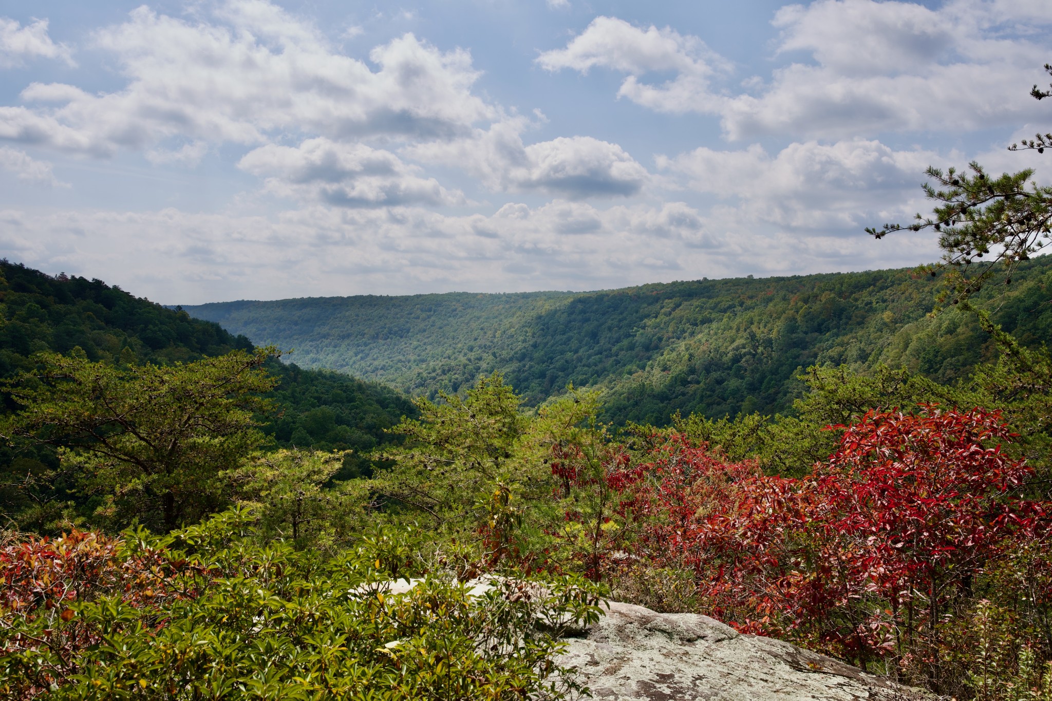1 Palmer Firetower Road Palmer, TN 37365 - Photo 34 of 70 Gallery Image 34
