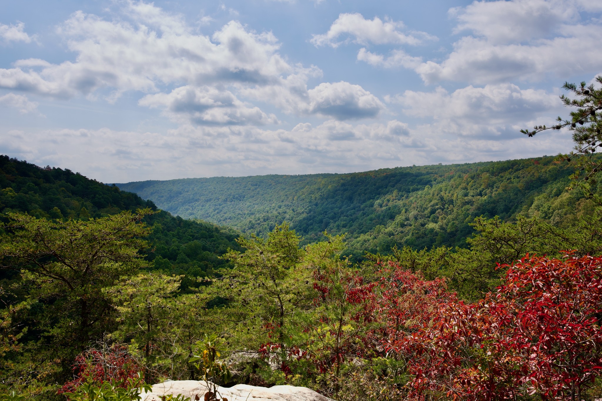 1 Palmer Firetower Road Palmer, TN 37365 - Photo 35 of 70 Gallery Image 35