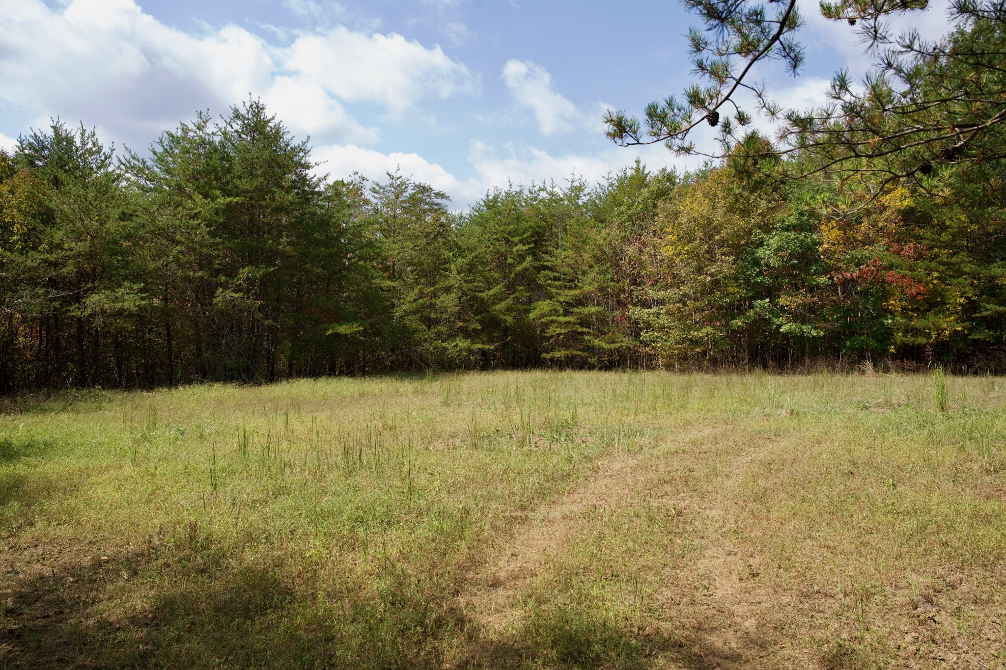1 Palmer Firetower Road Palmer, TN 37365 - Photo 36 of 70 Gallery Image 36