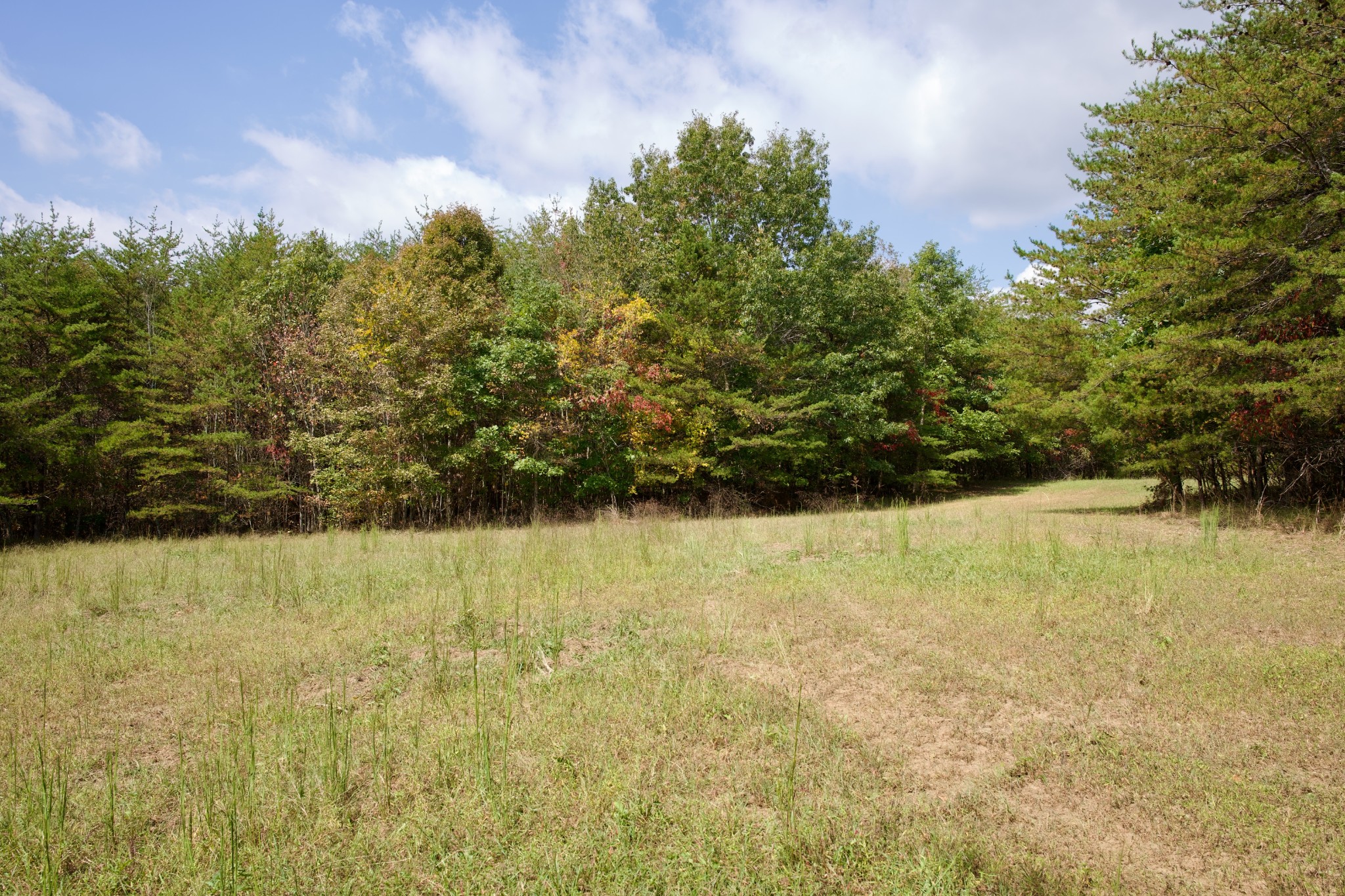 1 Palmer Firetower Road Palmer, TN 37365 - Photo 37 of 70 Gallery Image 37
