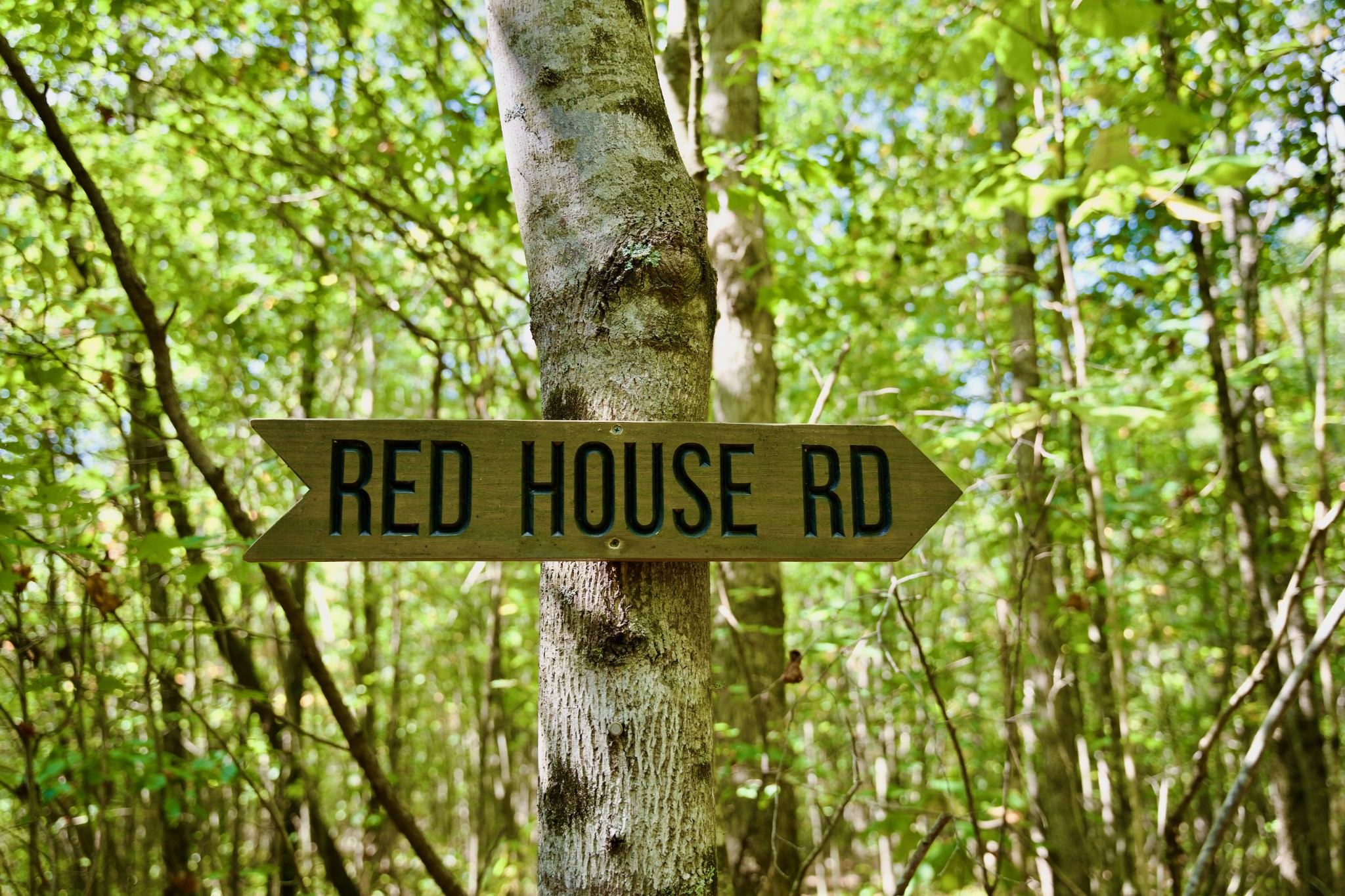 1 Palmer Firetower Road Palmer, TN 37365 - Photo 38 of 70 Gallery Image 38