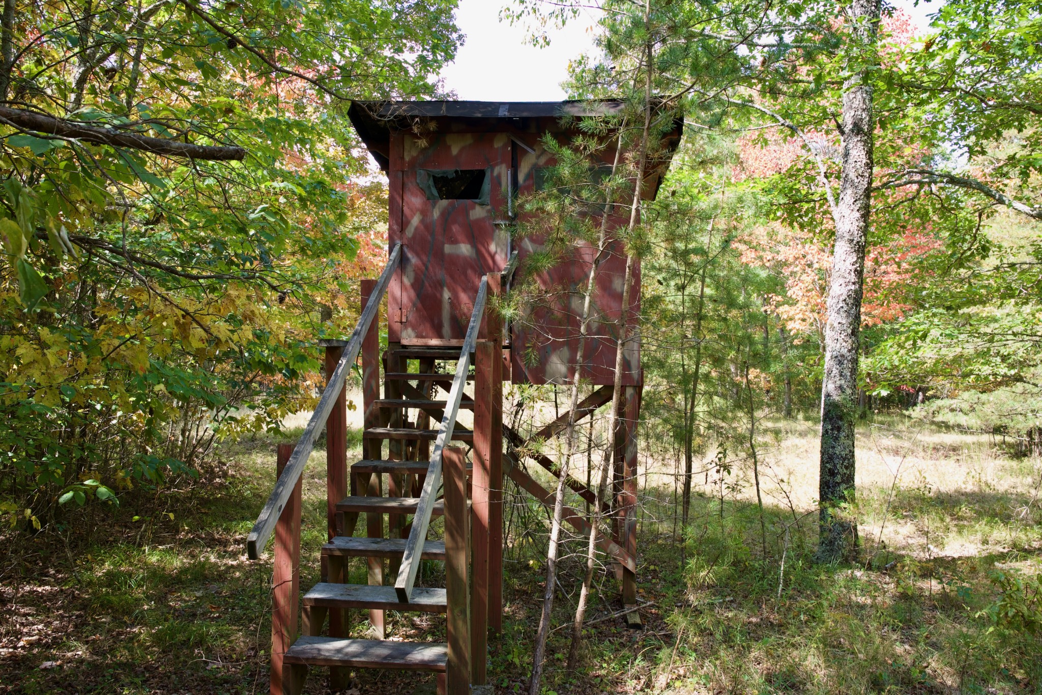 1 Palmer Firetower Road Palmer, TN 37365 - Photo 39 of 70 Gallery Image 39