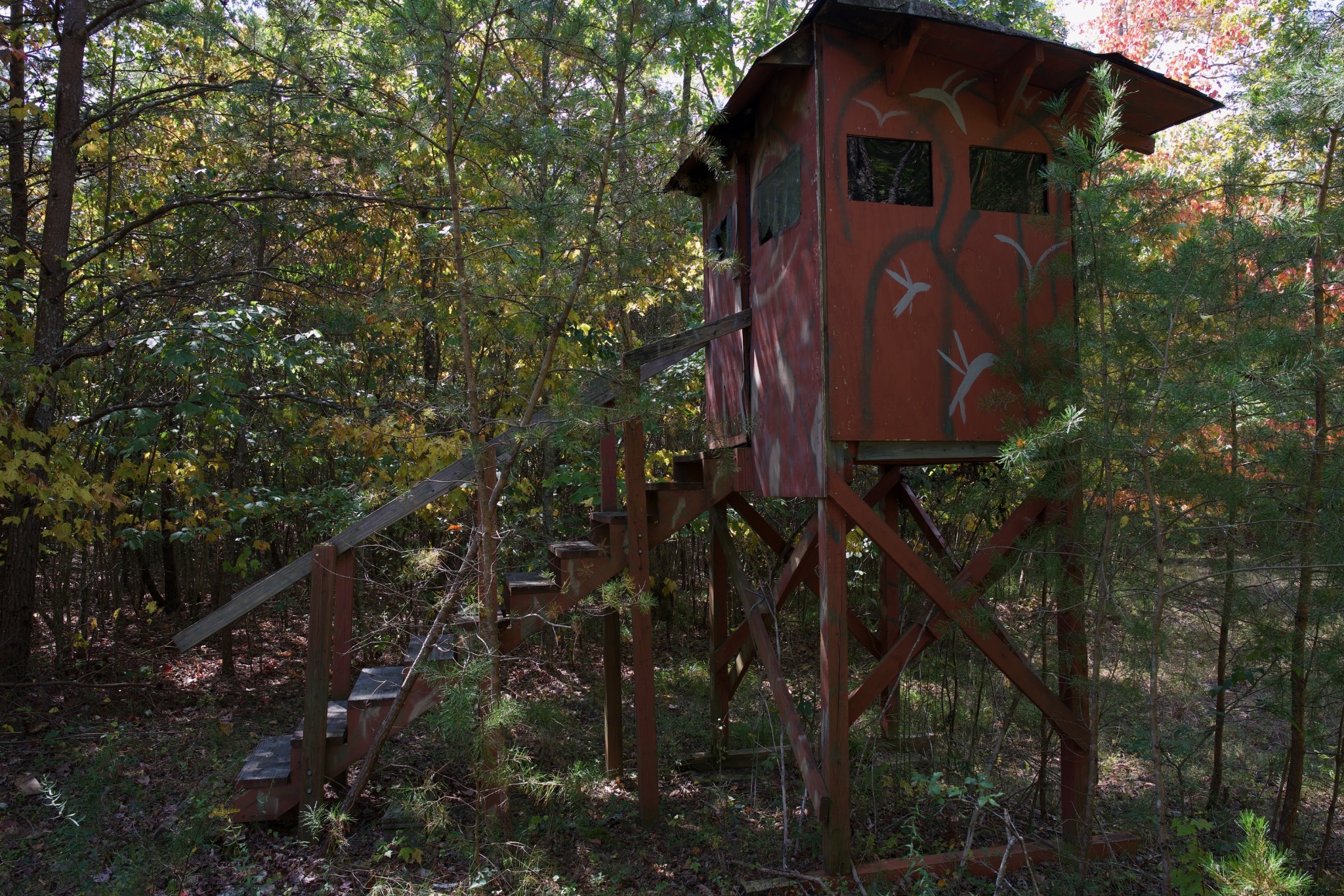 1 Palmer Firetower Road Palmer, TN 37365 - Photo 40 of 70 Gallery Image 40