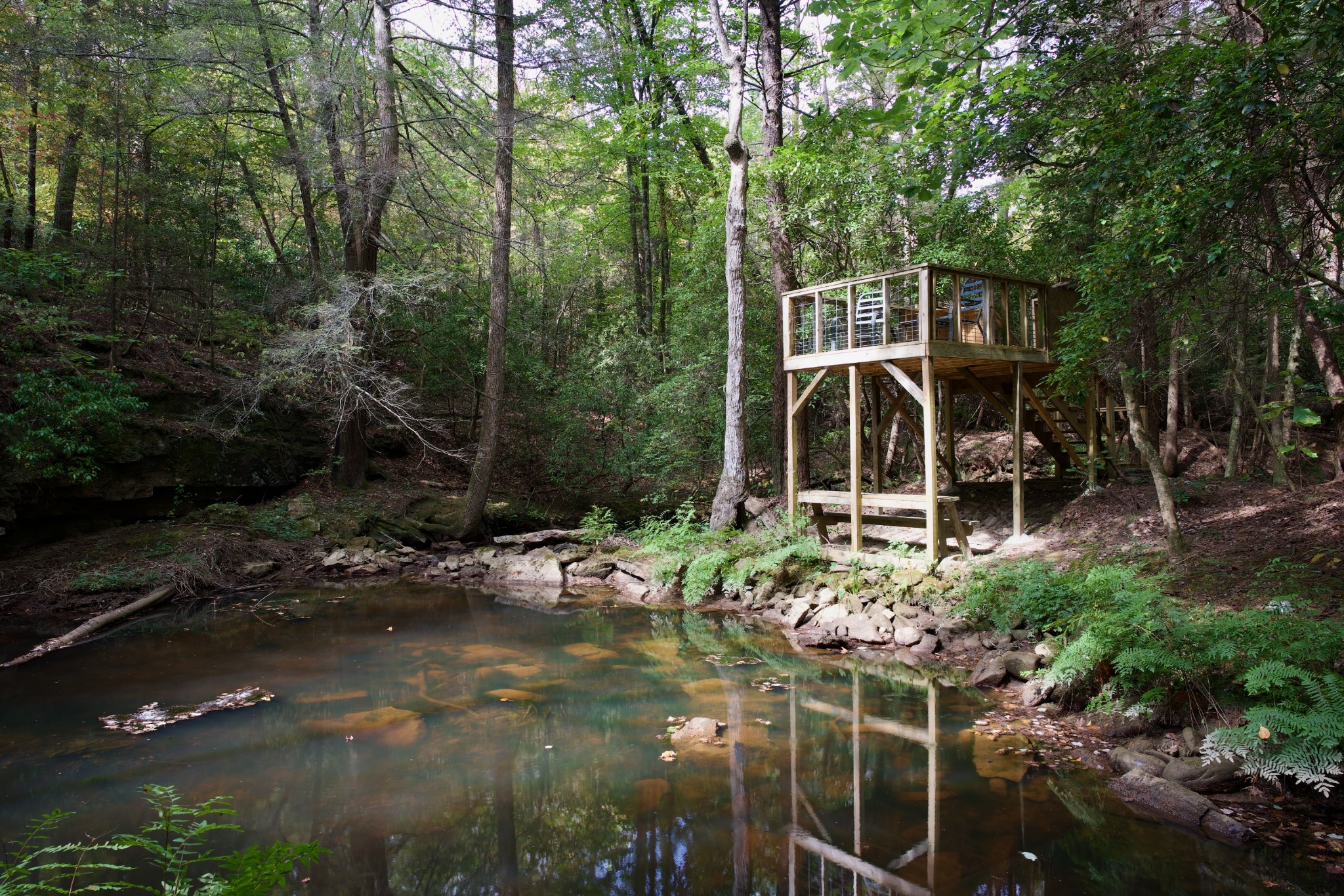 1 Palmer Firetower Road Palmer, TN 37365 - Photo 4 of 70 Gallery Image 4