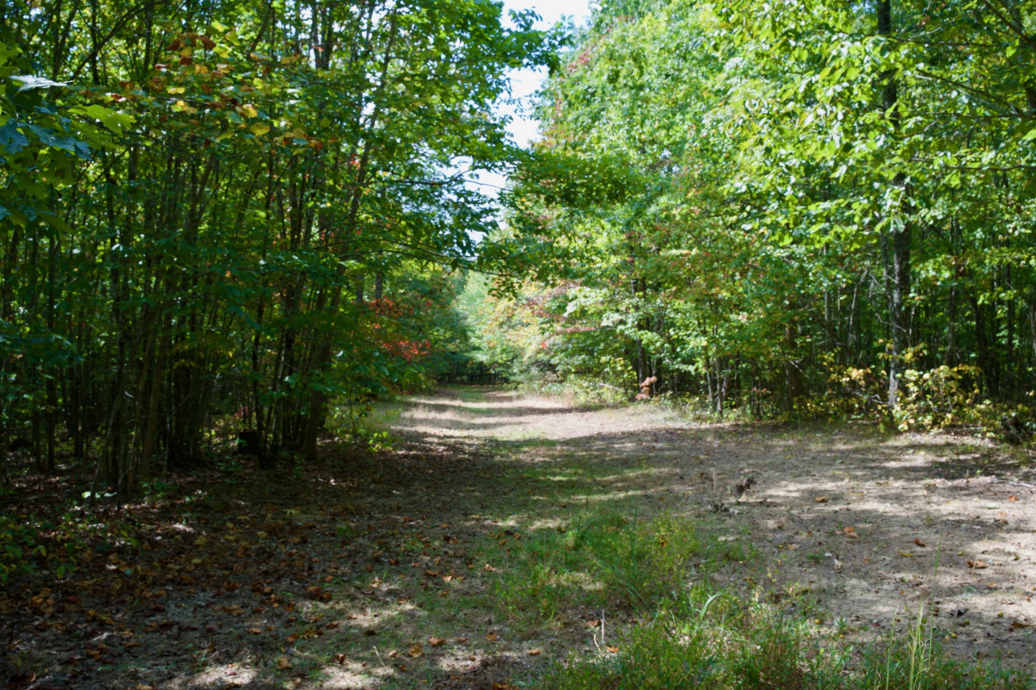 1 Palmer Firetower Road Palmer, TN 37365 - Photo 43 of 70 Gallery Image 43