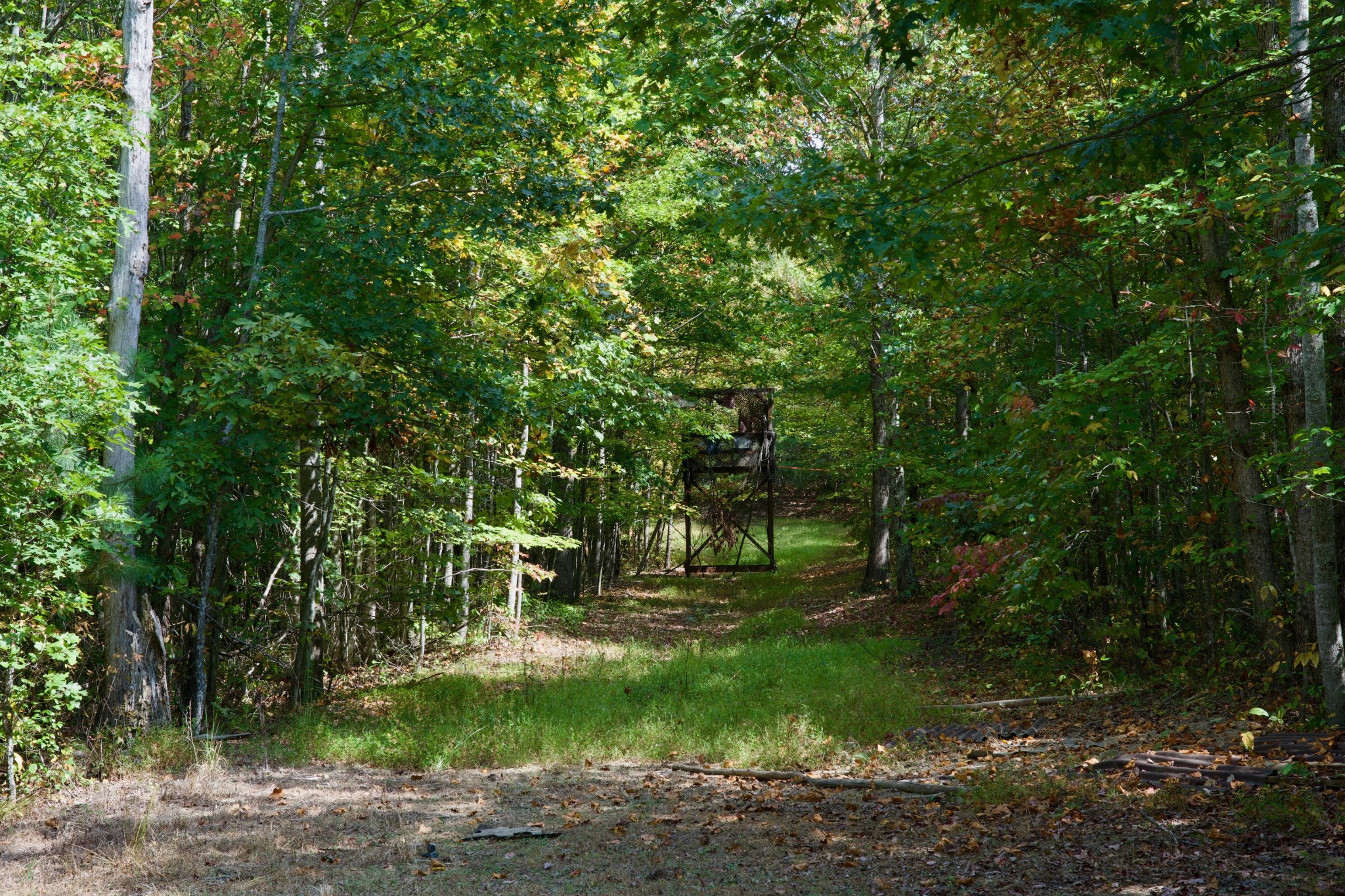 1 Palmer Firetower Road Palmer, TN 37365 - Photo 44 of 70 Gallery Image 44