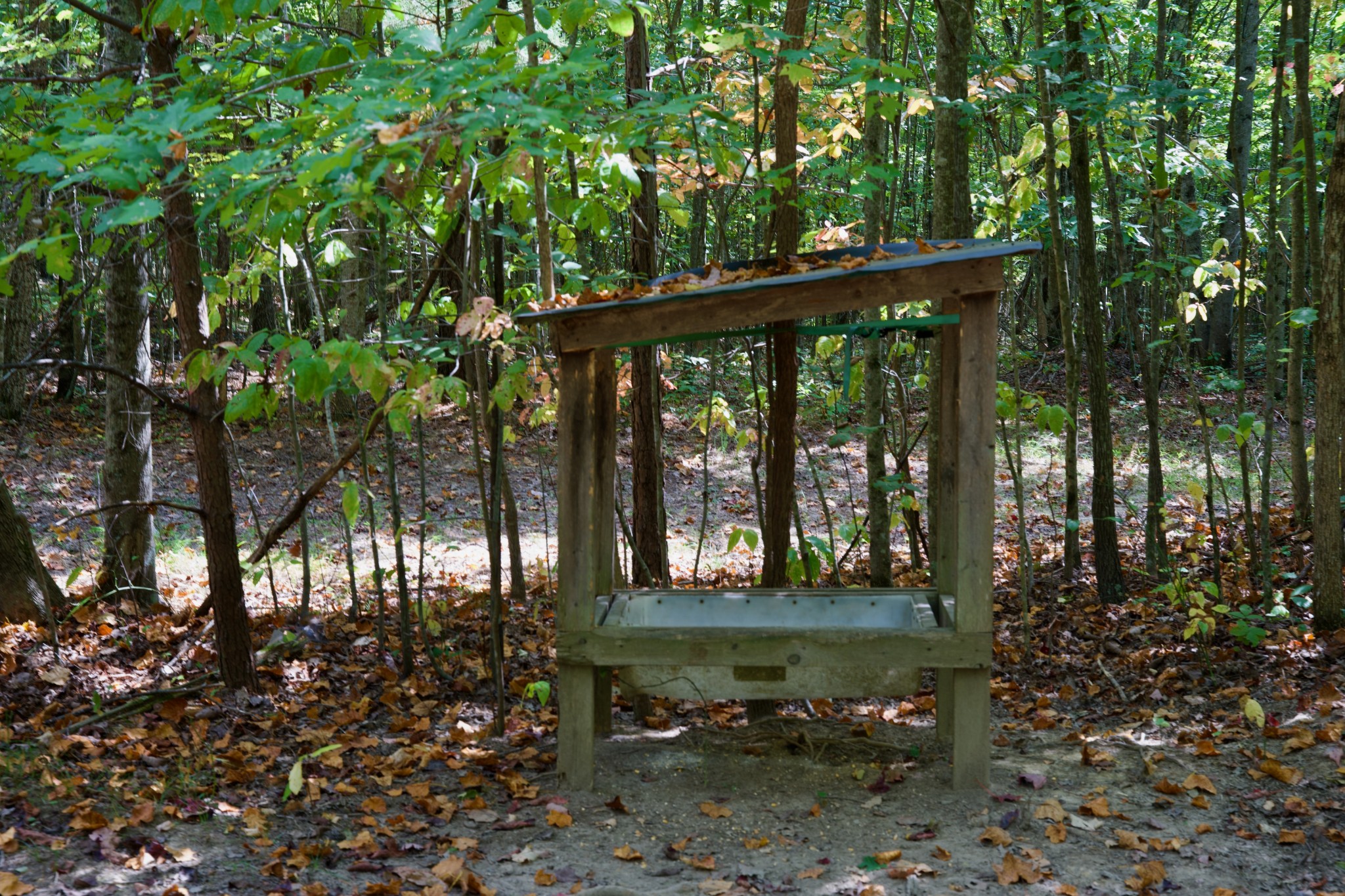 1 Palmer Firetower Road Palmer, TN 37365 - Photo 45 of 70 Gallery Image 45