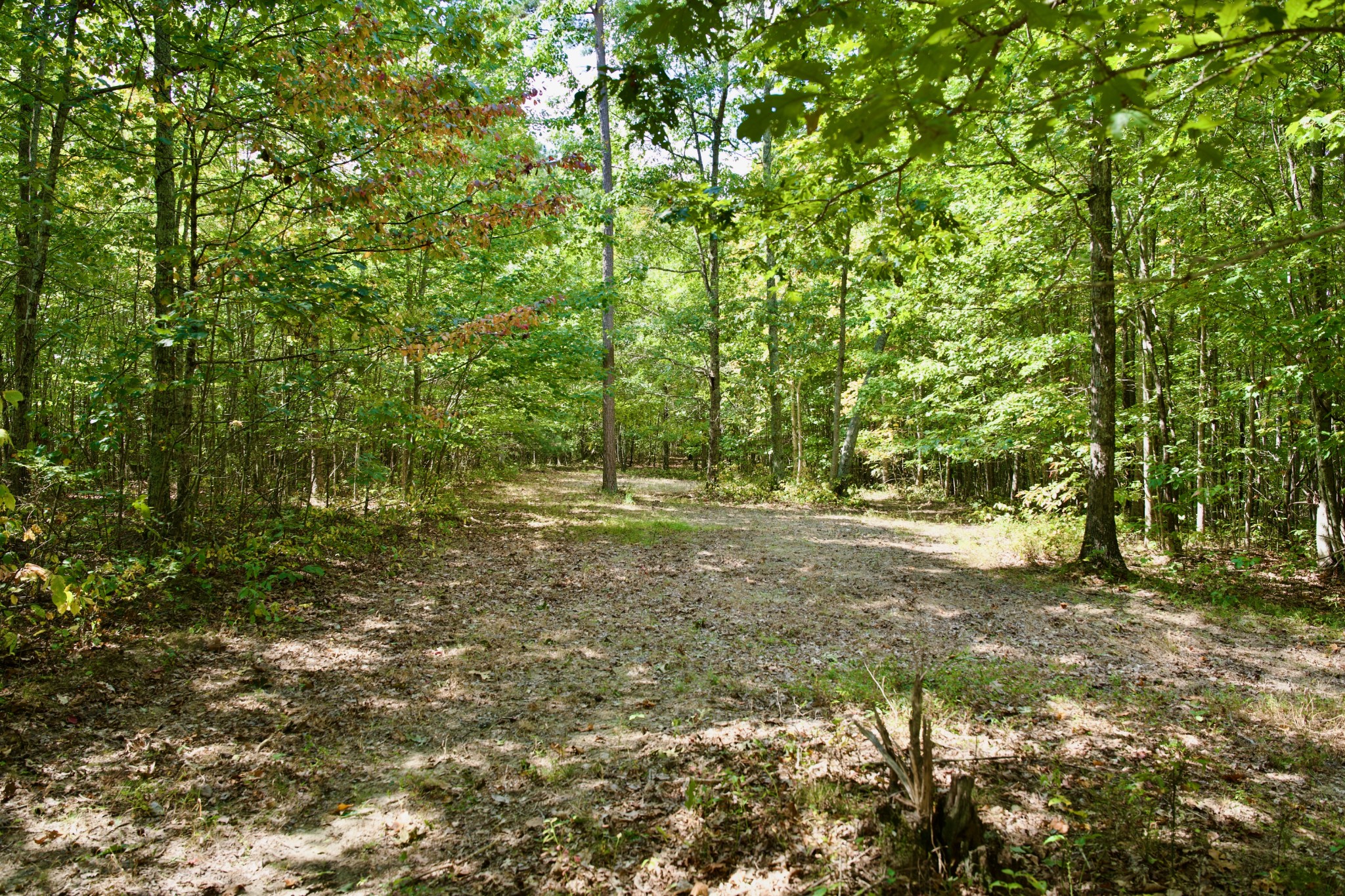 1 Palmer Firetower Road Palmer, TN 37365 - Photo 46 of 70 Gallery Image 46
