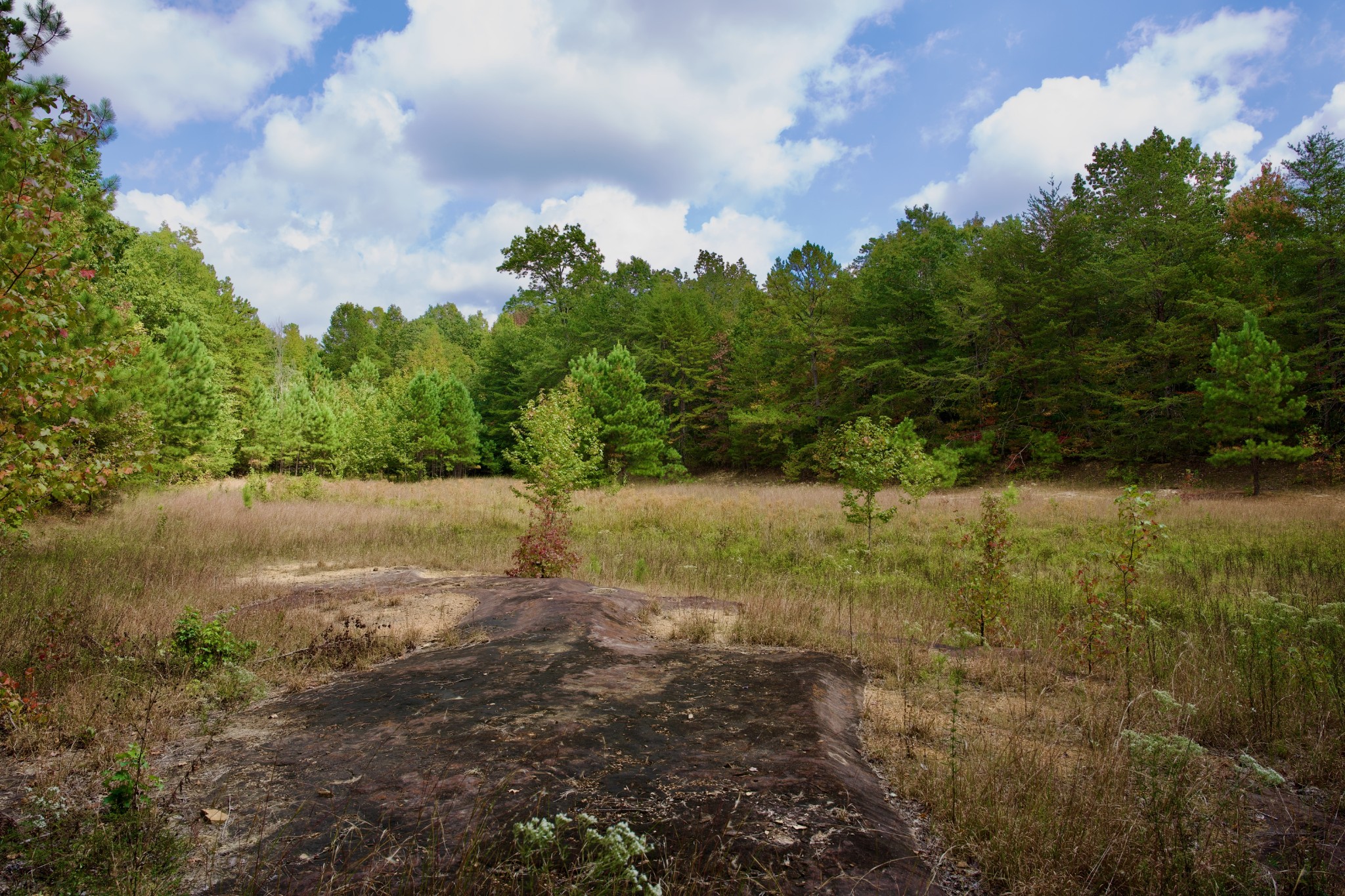 1 Palmer Firetower Road Palmer, TN 37365 - Photo 49 of 70 Gallery Image 49