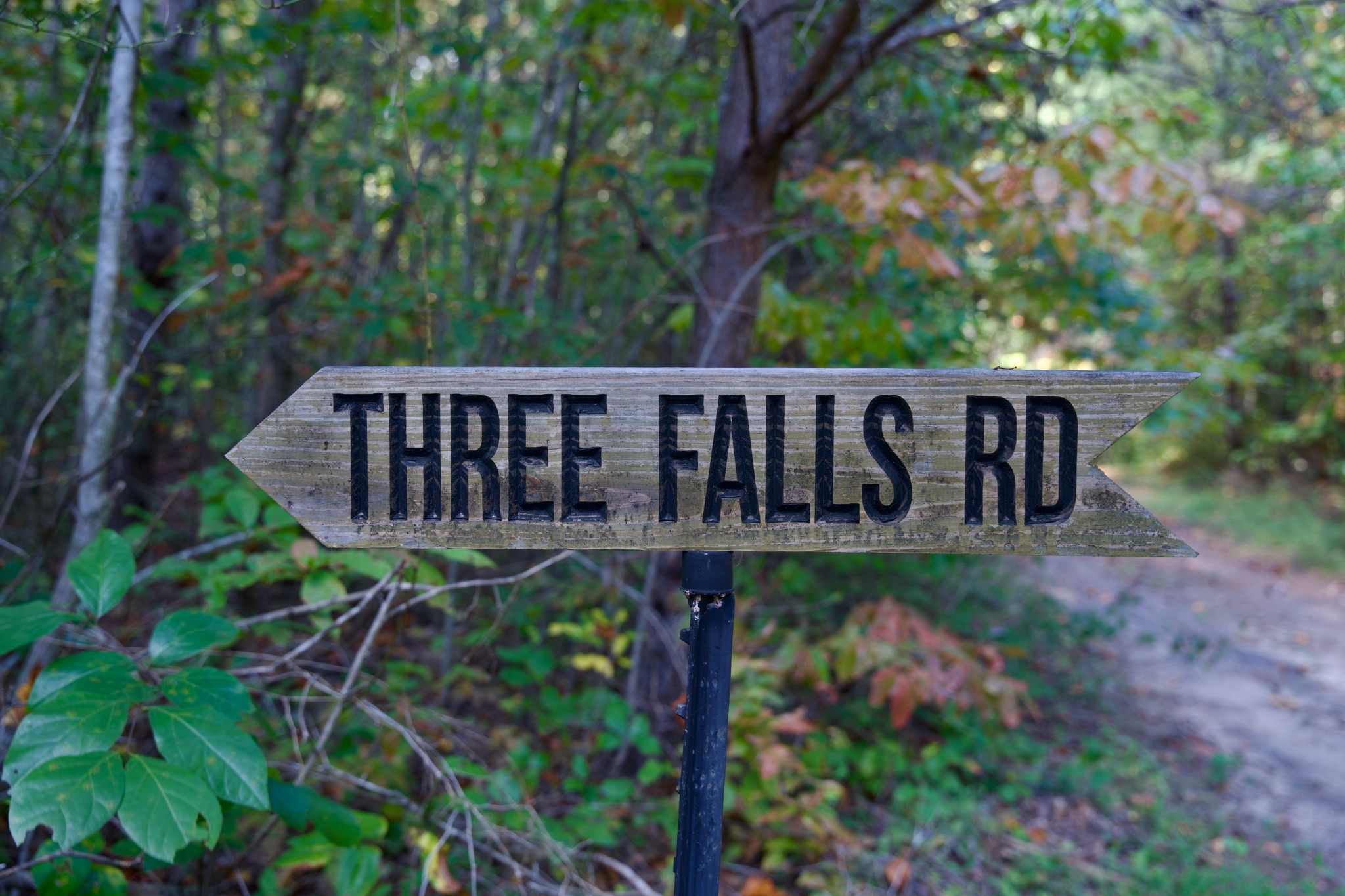 1 Palmer Firetower Road Palmer, TN 37365 - Photo 56 of 70 Gallery Image 56