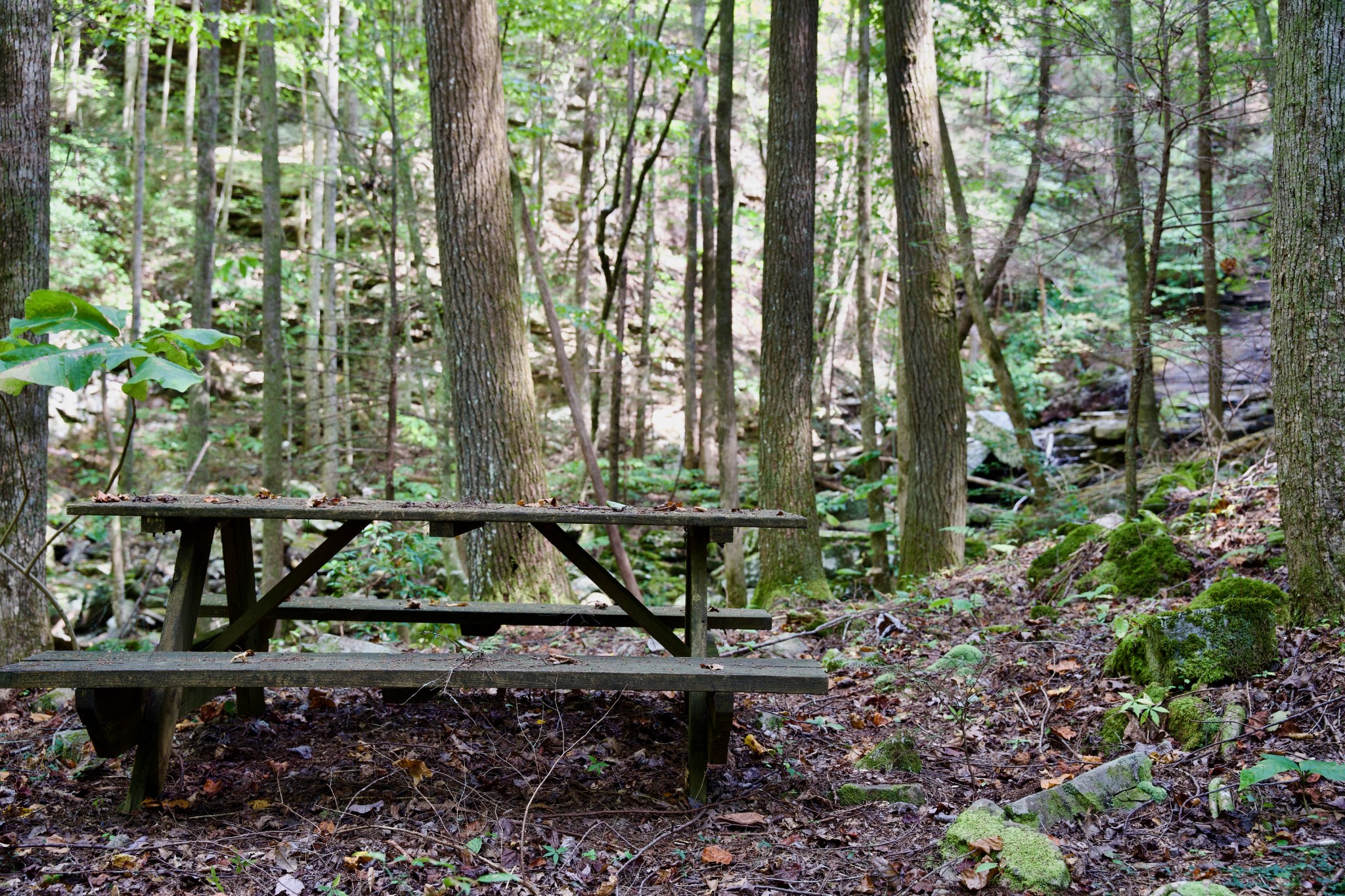 1 Palmer Firetower Road Palmer, TN 37365 - Photo 60 of 70 Gallery Image 60
