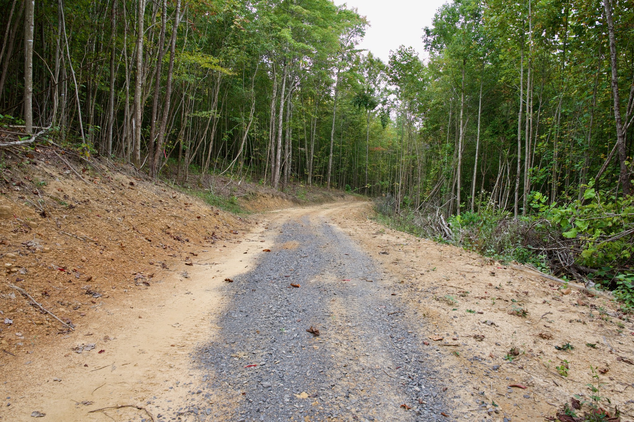 1 Palmer Firetower Road Palmer, TN 37365 - Photo 6 of 70 Gallery Image 6