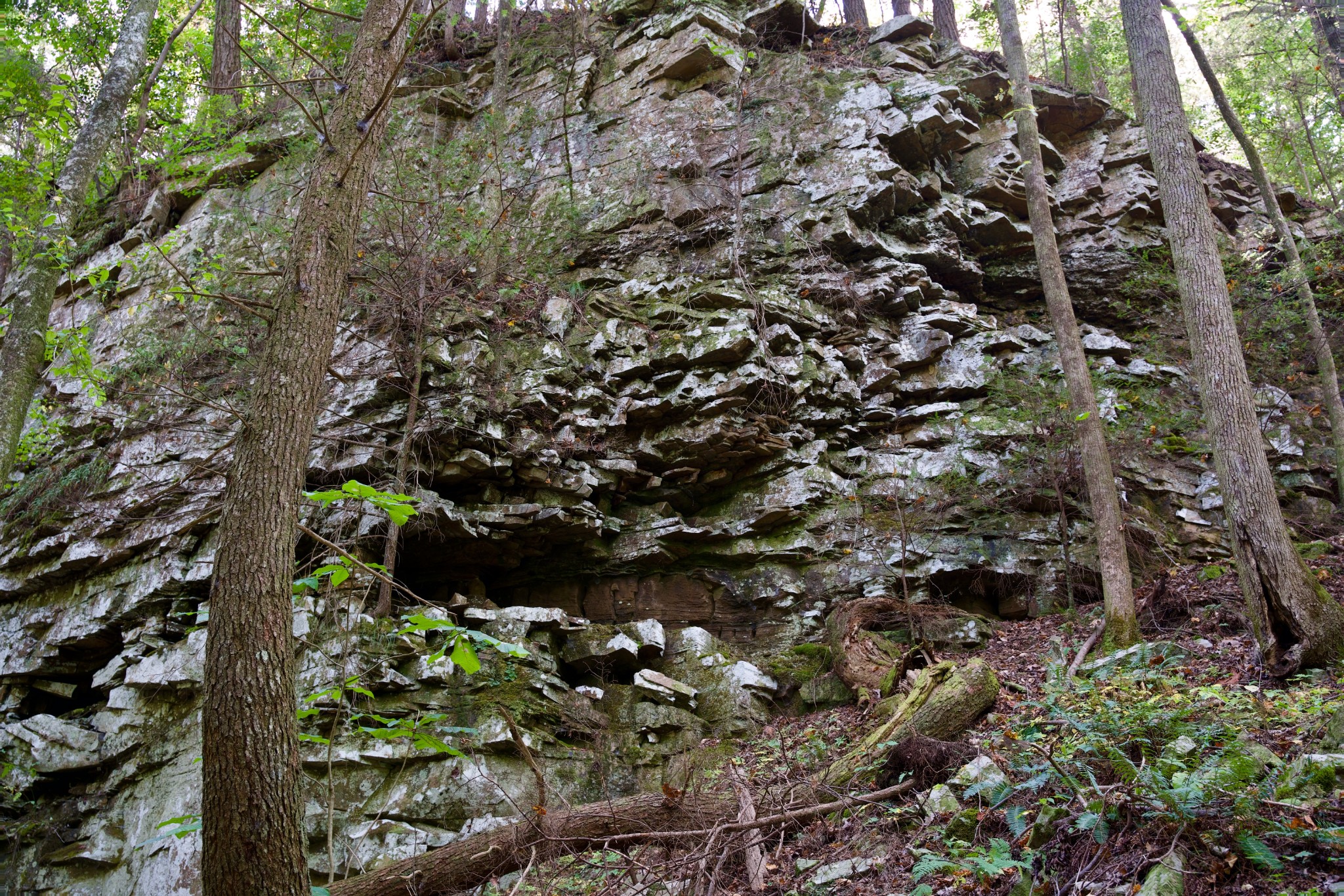 1 Palmer Firetower Road Palmer, TN 37365 - Photo 61 of 70 Gallery Image 61