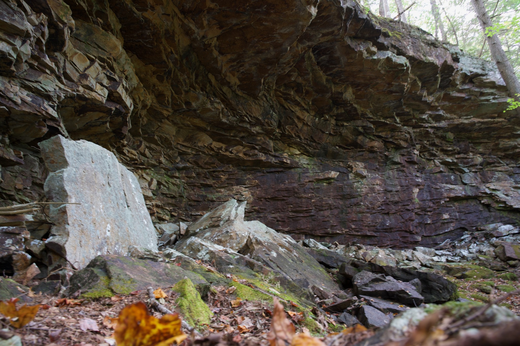 1 Palmer Firetower Road Palmer, TN 37365 - Photo 63 of 70 Gallery Image 63