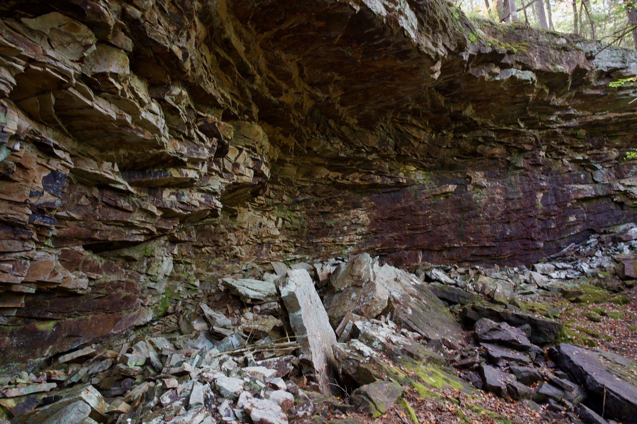 1 Palmer Firetower Road Palmer, TN 37365 - Photo 64 of 70 Gallery Image 64