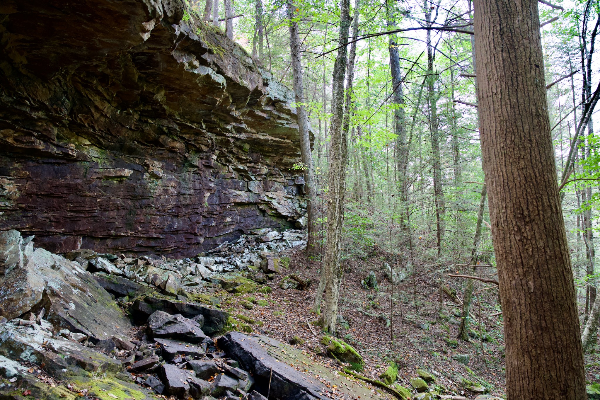 1 Palmer Firetower Road Palmer, TN 37365 - Photo 65 of 70 Gallery Image 65