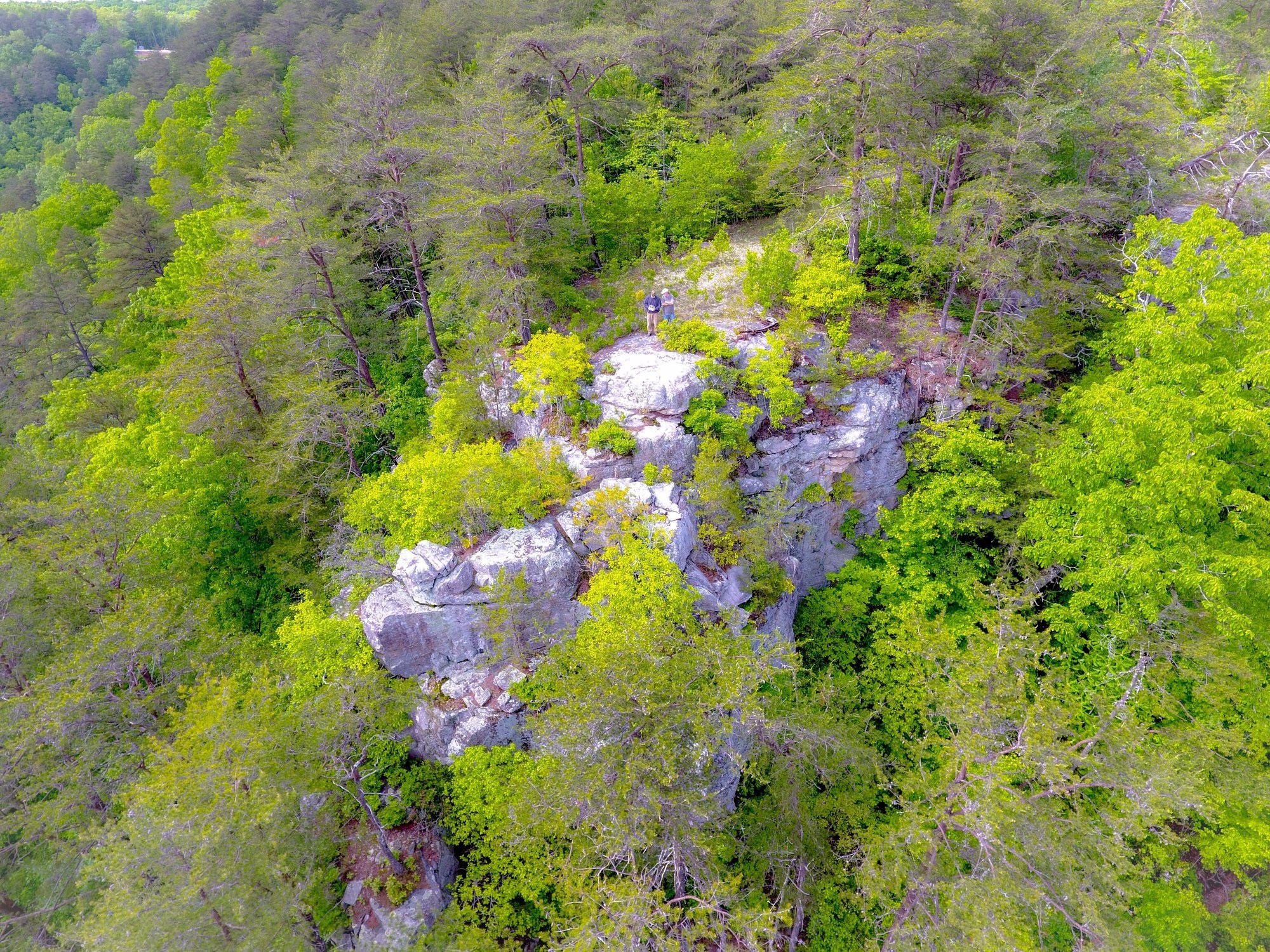 1 Palmer Firetower Road Palmer, TN 37365 - Photo 68 of 70 Gallery Image 68