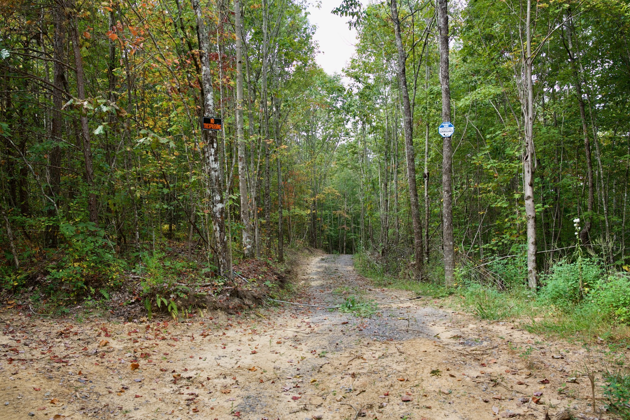 1 Palmer Firetower Road Palmer, TN 37365 - Photo 7 of 70 Gallery Image 7