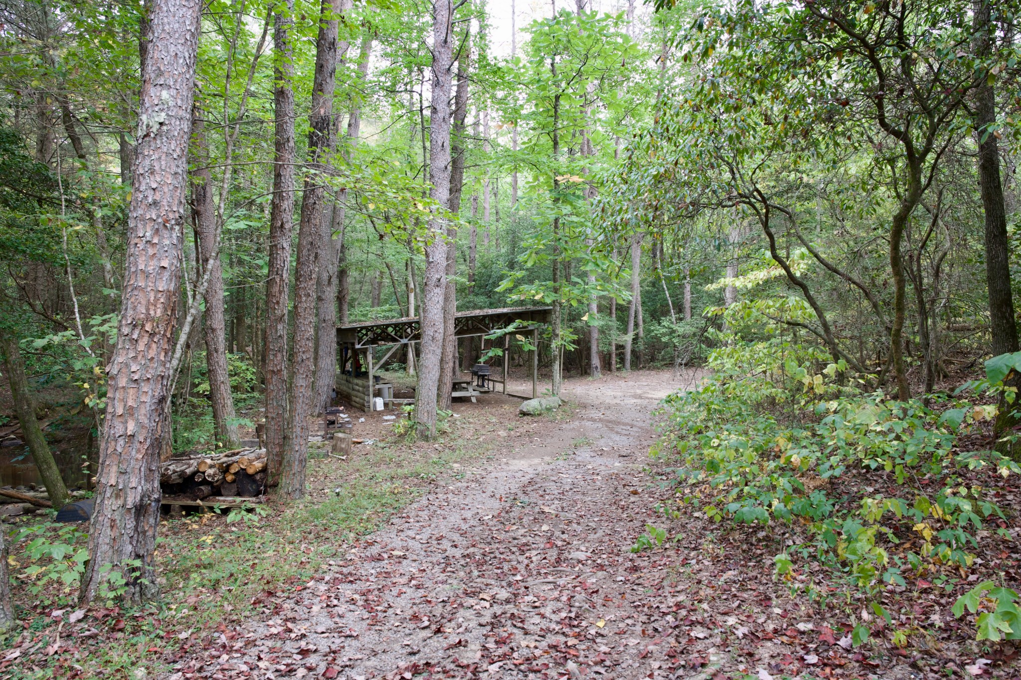 1 Palmer Firetower Road Palmer, TN 37365 - Photo 9 of 70 Gallery Image 9