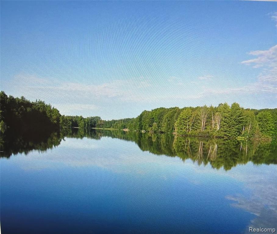 3805 Lee Hill Road Mayville, MI 48744 - Photo 9 of 12