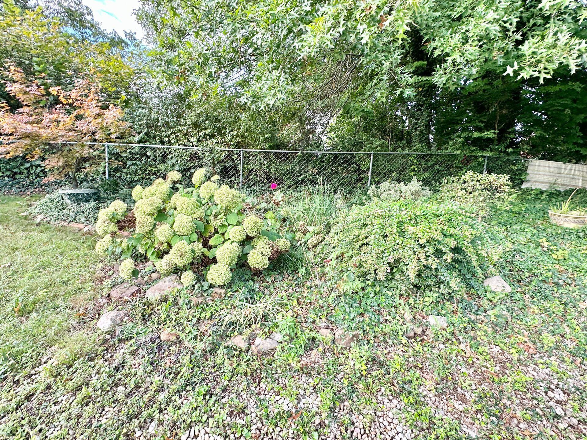 2313 Carter Road Southwest Roanoke, VA 24015 - Photo 56 of 66 Lot view