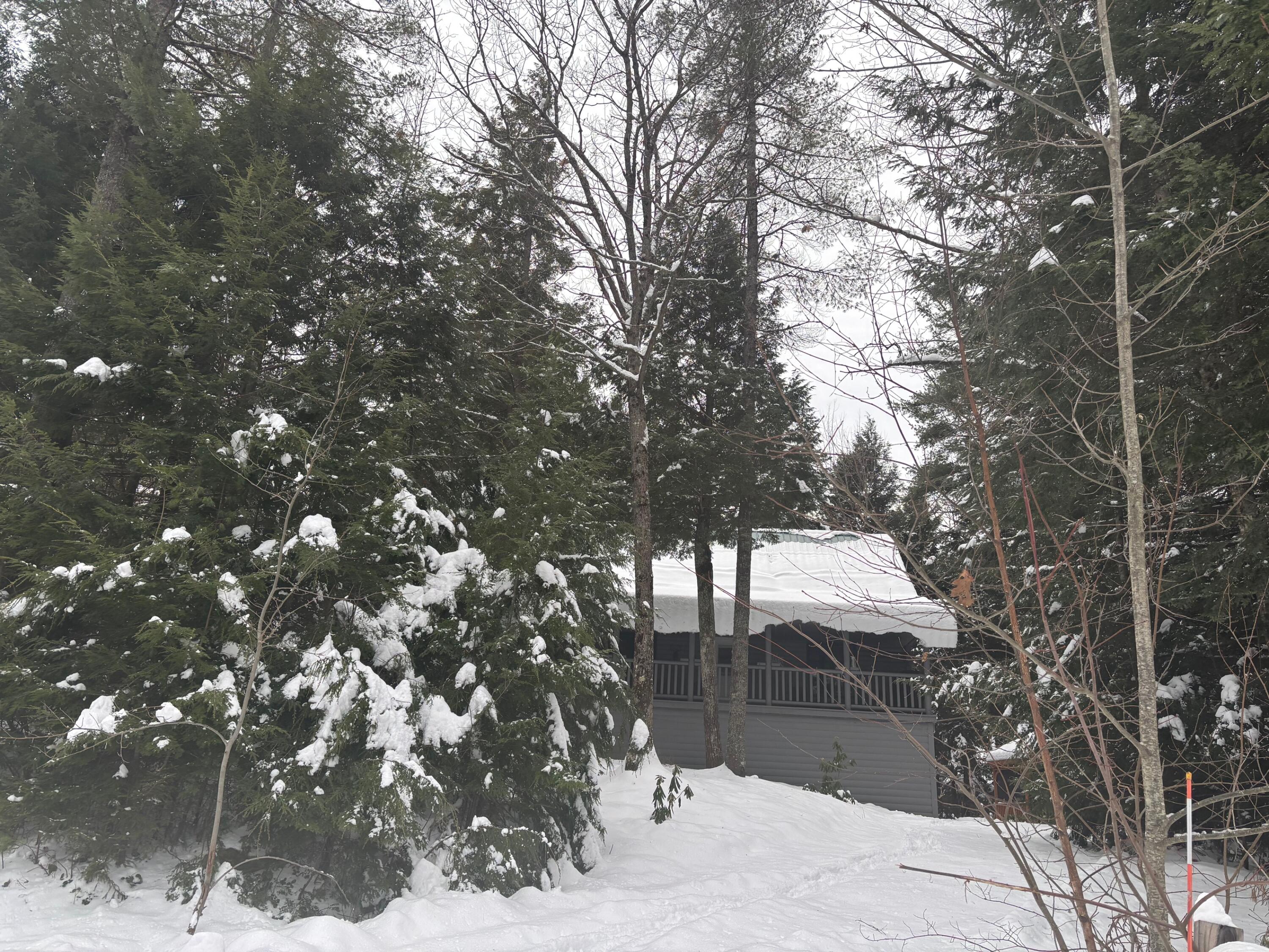 44 Balsam Road Bethel, ME 04217 - Photo 46 of 46 IMG_5921