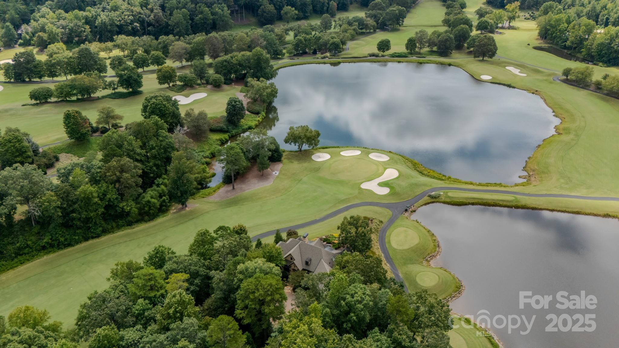 15 Water View Court Travelers Rest, SC 29690 - Photo 3 of 48 an aerial view of a house