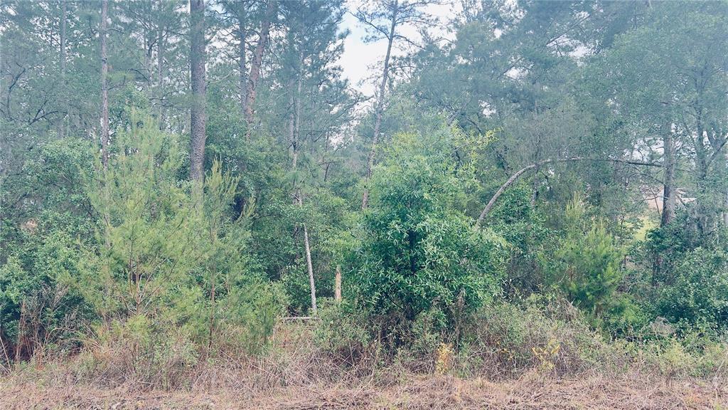 0 Southwest 79 Terr Rd  