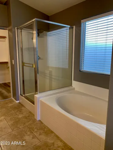 a bathroom with a bathtub and a shower