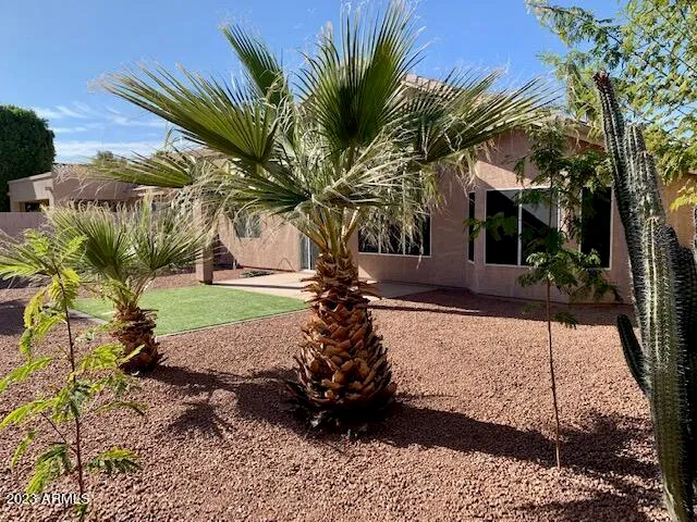 a view of a backyard with palm trees