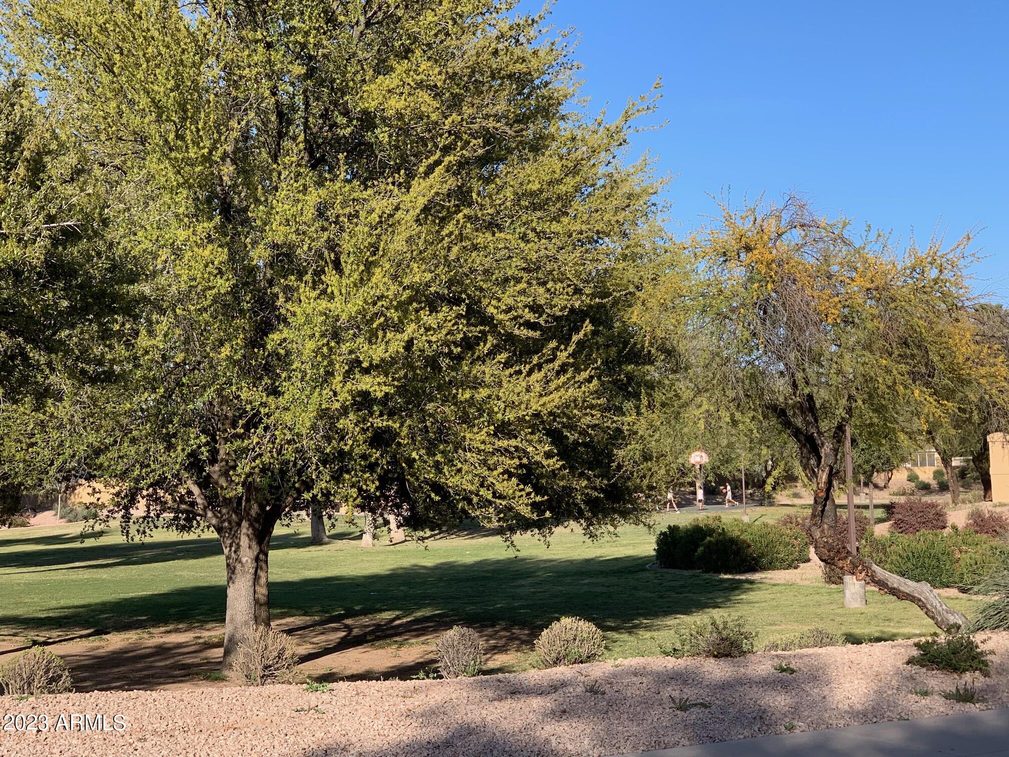 1655 East Harrison Street Chandler, AZ 85225 - Photo 30 of 35