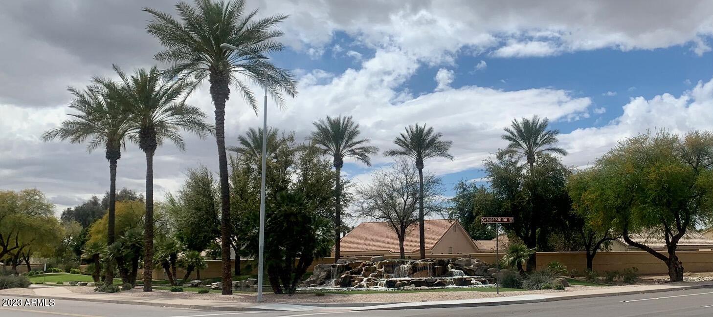1655 East Harrison Street Chandler, AZ 85225 - Photo 31 of 35 a palm tree sitting in front of a city