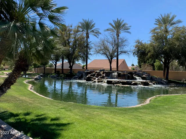 a view of a swimming pool with a garden