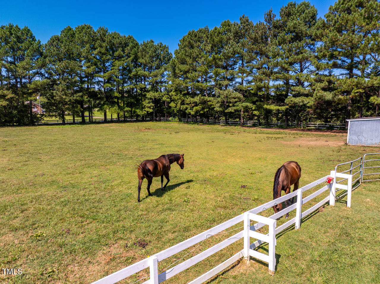 454 Castle Rock Farm Road Pittsboro, NC 27312 - Photo 8 of 59 454CastleRockFarmRd-15