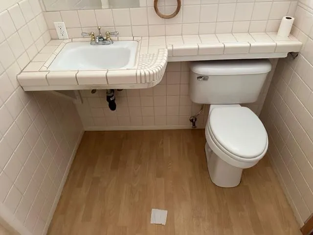 a bathroom with a sink and a toilet