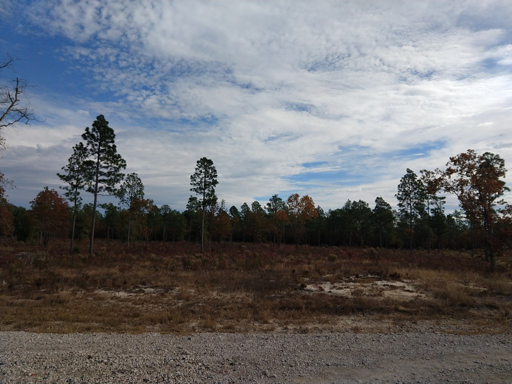 Lot 8 Tandem Trail Windsor, SC 29856 - Photo 4 of 7
