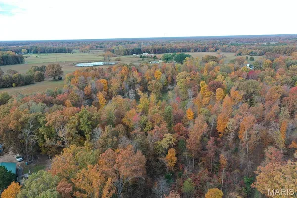 $59,000 | 1 Bobwhite Lane, Fairdealing, MO 63939