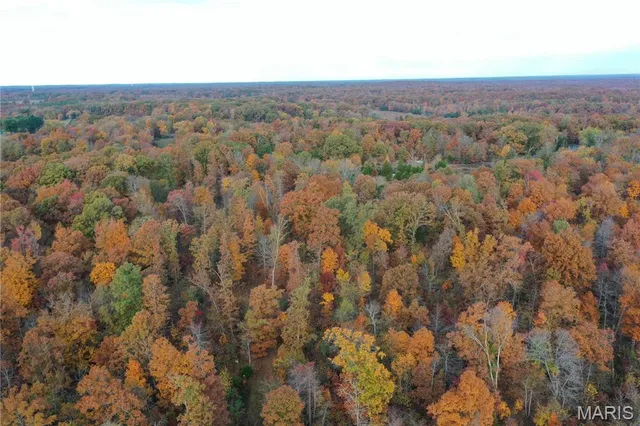 $59,000 | 1 Bobwhite Lane, Fairdealing, MO 63939