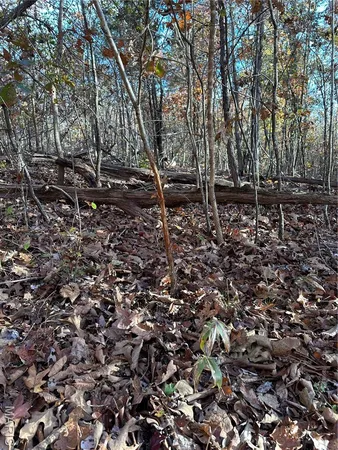 $59,000 | 1 Bobwhite Lane, Fairdealing, MO 63939