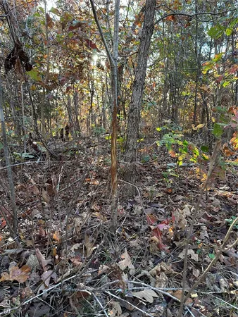 $59,000 | 1 Bobwhite Lane, Fairdealing, MO 63939