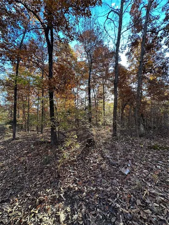 $59,000 | 1 Bobwhite Lane, Fairdealing, MO 63939